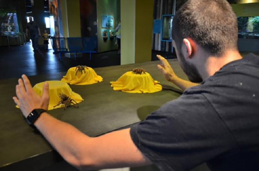 jurassic zoo jurassic zoo