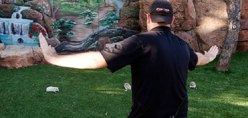 jurassic zoo jurassic zoo