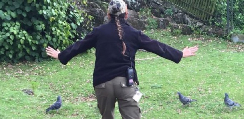 jurassic zoo jurassic zoo