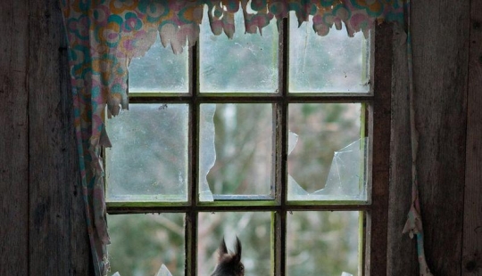 Kai Fagerstrom - Casa en el bosque