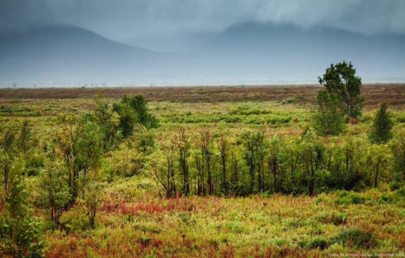 Kamchatka landscapes