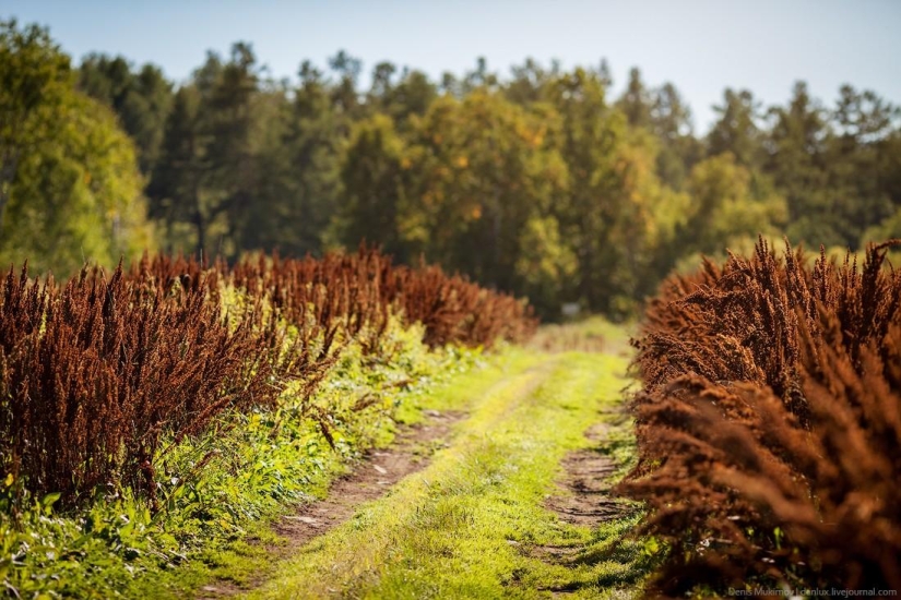 Kamchatka landscapes