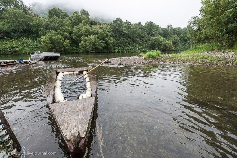 Kamchatka. Salmon Kamchatka. Salmon