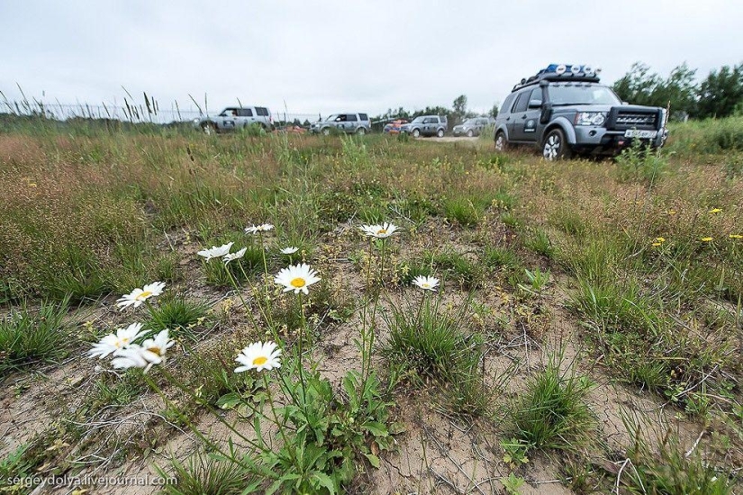 Kamchatka. Salmon Kamchatka. Salmon