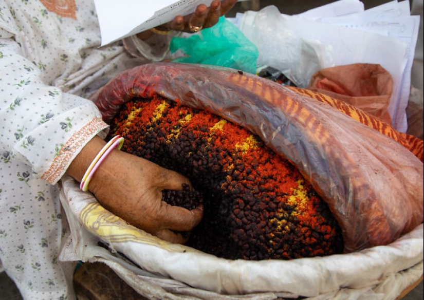 Kashmir: I Saw Tourists Coming Back In Paradise