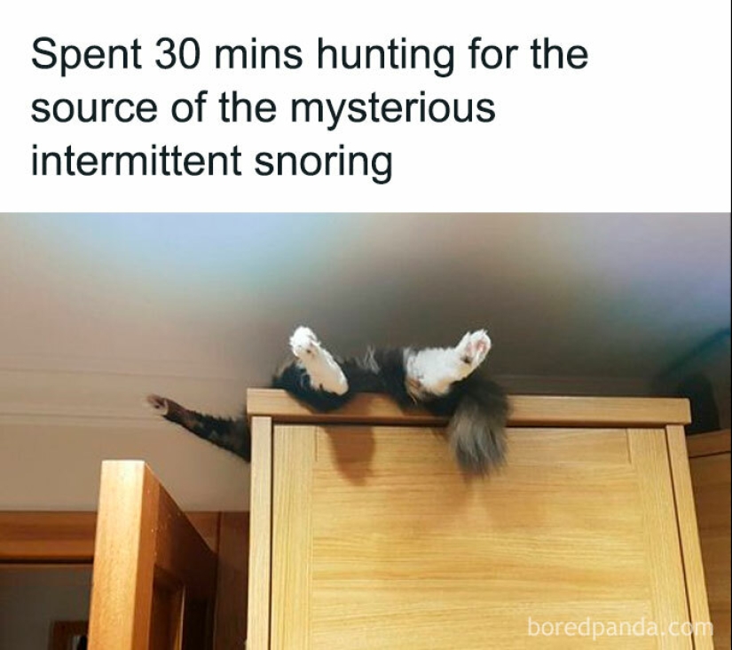 ‘Kind Humour’: 15 Funny And Sweet Memes That Don’t Offend Anyone