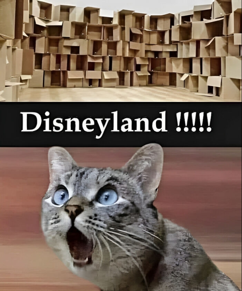 ‘Kind Humour’: 15 Funny And Sweet Memes That Don’t Offend Anyone