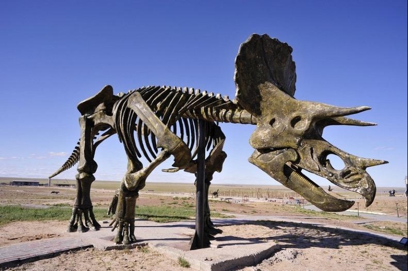 Kissing dinosaurs of Eren Hot in China