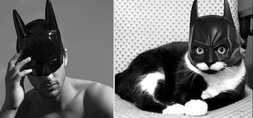 Kittens and guys Kittens and guys