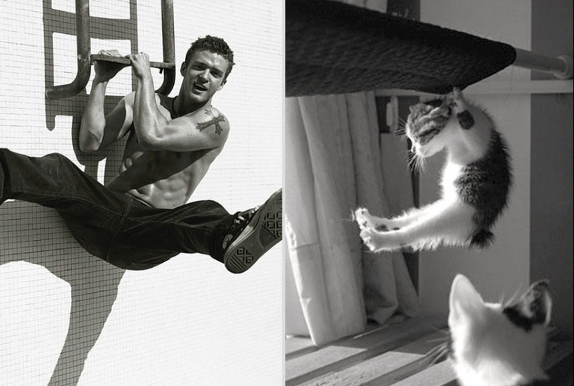 Kittens and guys Kittens and guys