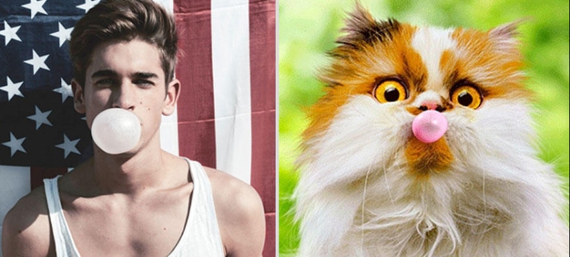 Kittens and guys Kittens and guys