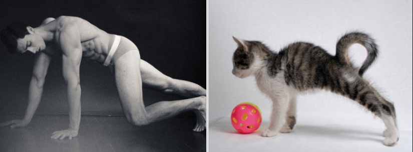 Kittens and guys Kittens and guys