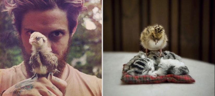 Kittens and guys Kittens and guys