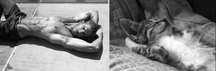 Kittens and guys Kittens and guys