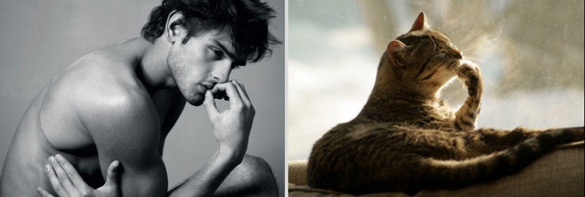 Kittens and guys Kittens and guys