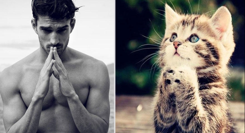 Kittens and guys Kittens and guys