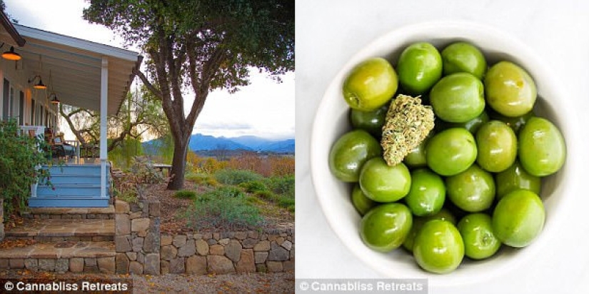 "Konoplayf": a center for "psychedelic yoga" with marijuana has been opened in the USA