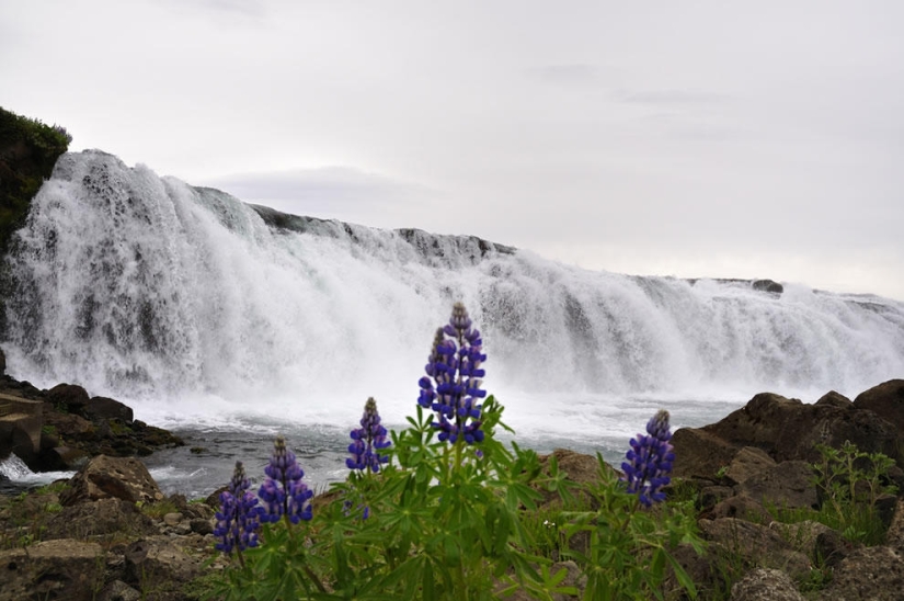 La belleza de las cascadas de Islandia en fotografías