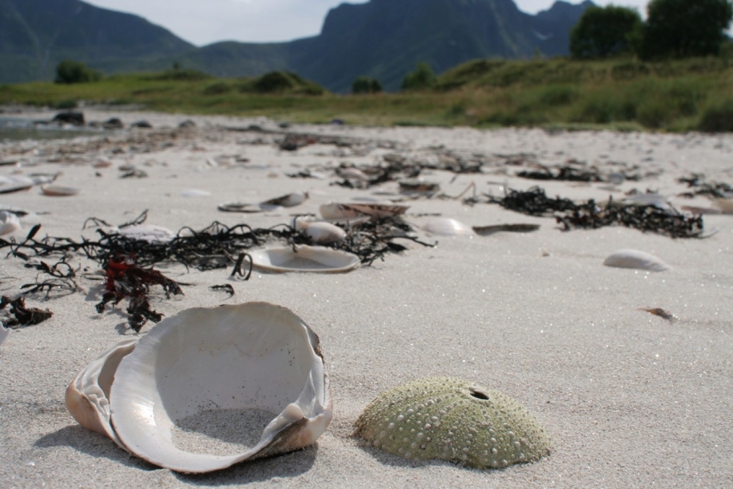 La belleza de Noruega. Viajando en las Islas Lofoten
