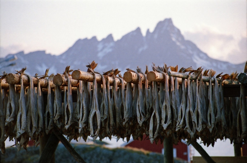 La belleza de Noruega. Viajando en las Islas Lofoten