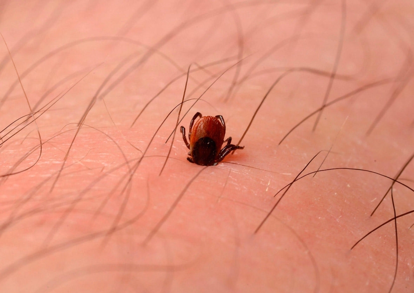 La belleza hechizante del mejor personal científico del año