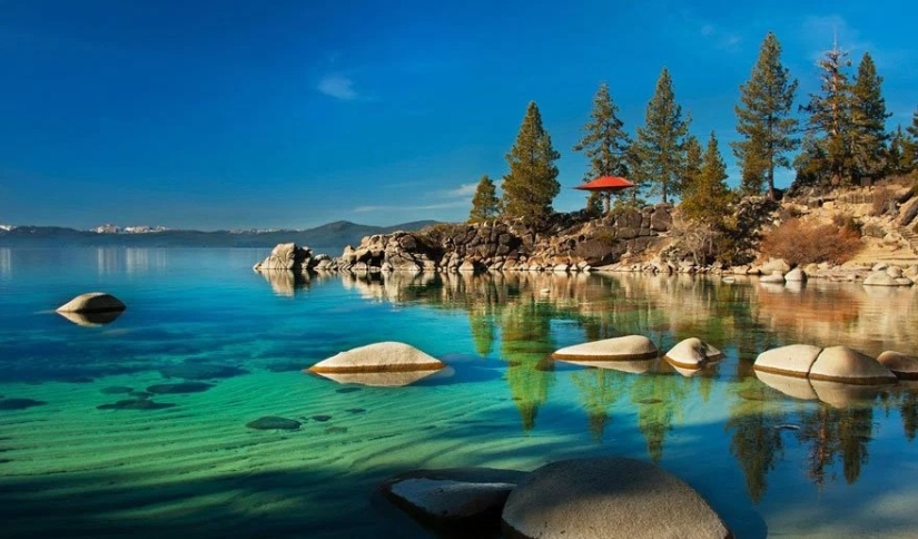 La carpa del diseñador británico te permite pasar la noche en un árbol