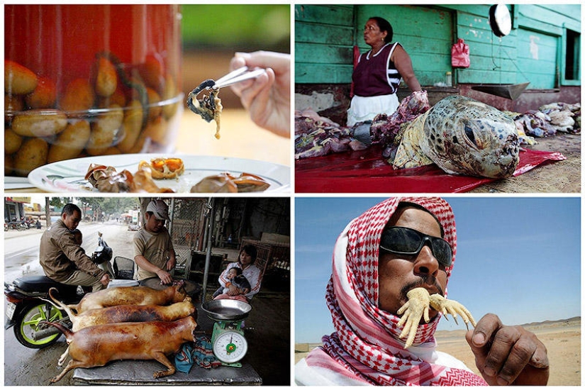 La comida más extrema que puedes comer en este planeta