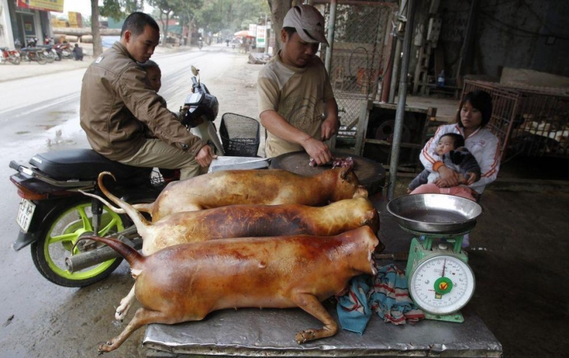 La comida más extrema que puedes comer en este planeta