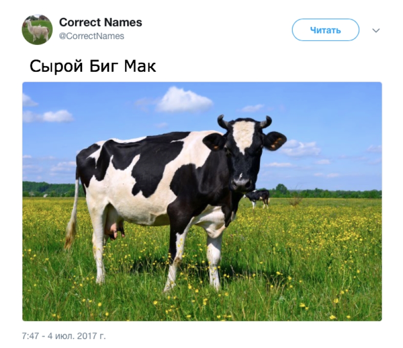 La cuenta de Twitter dio los nombres "correctos" a cosas familiares La cuenta de Twitter dio los nombres "correctos" a cosas familiares