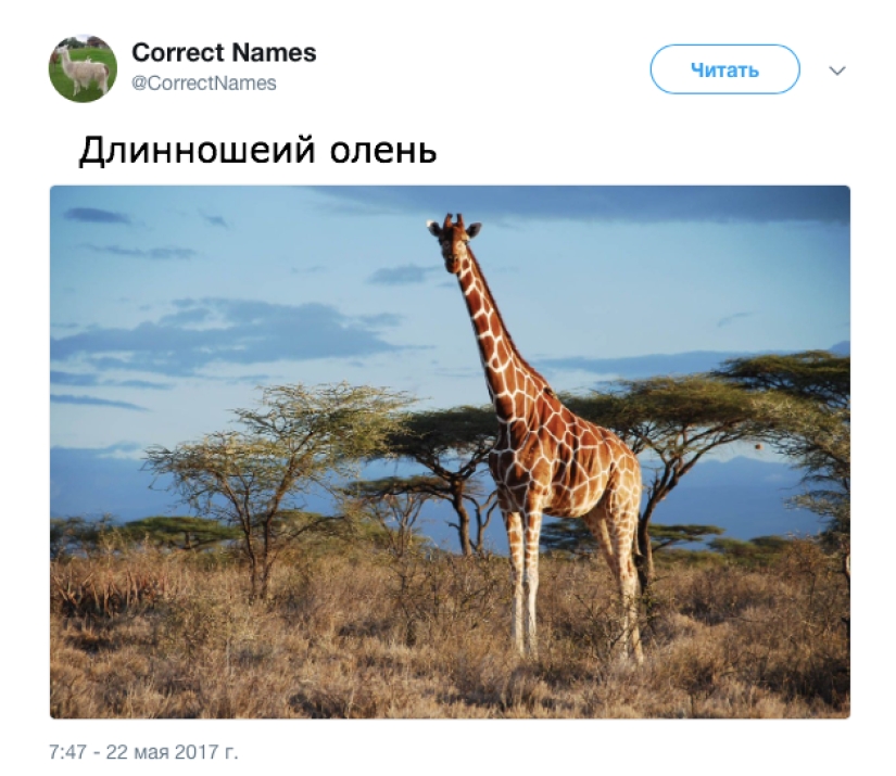 La cuenta de Twitter dio los nombres "correctos" a cosas familiares La cuenta de Twitter dio los nombres "correctos" a cosas familiares