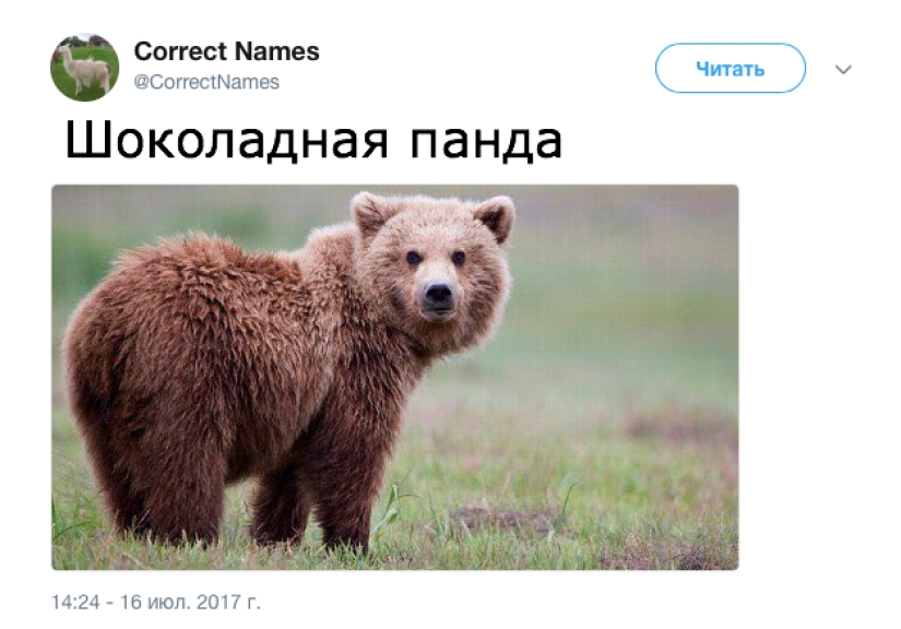 La cuenta de Twitter dio los nombres "correctos" a cosas familiares La cuenta de Twitter dio los nombres "correctos" a cosas familiares