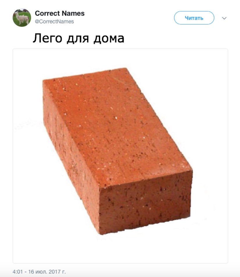 La cuenta de Twitter dio los nombres "correctos" a cosas familiares La cuenta de Twitter dio los nombres "correctos" a cosas familiares