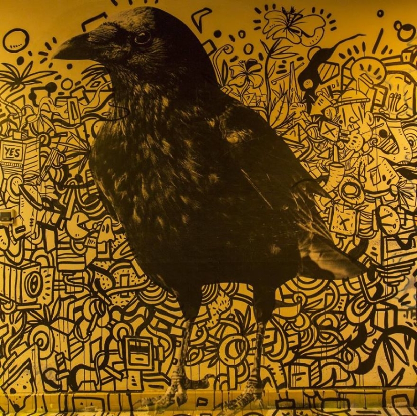 La espátula no se levantará: antes de la renovación, el albergue de París se convirtió en un pequeño Louvre La espátula no se levantará: antes de la renovación, el albergue de París se convirtió en un pequeño Louvre