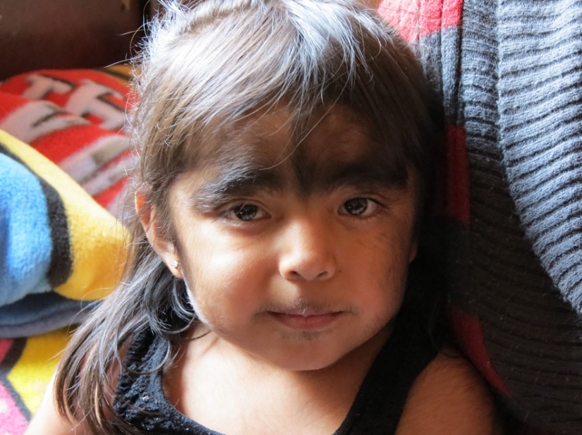 La familia más peluda del mundo. La familia más peluda del mundo.