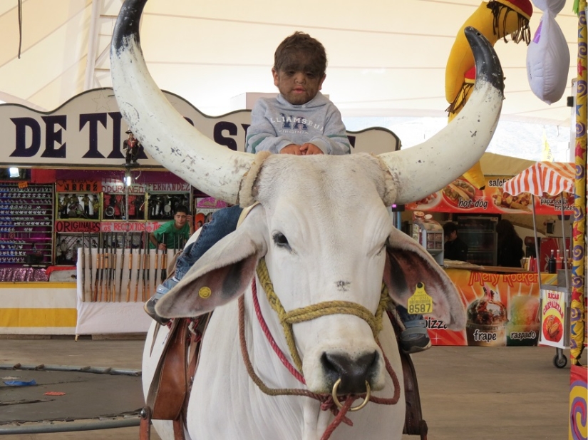 La familia más peluda del mundo. La familia más peluda del mundo.