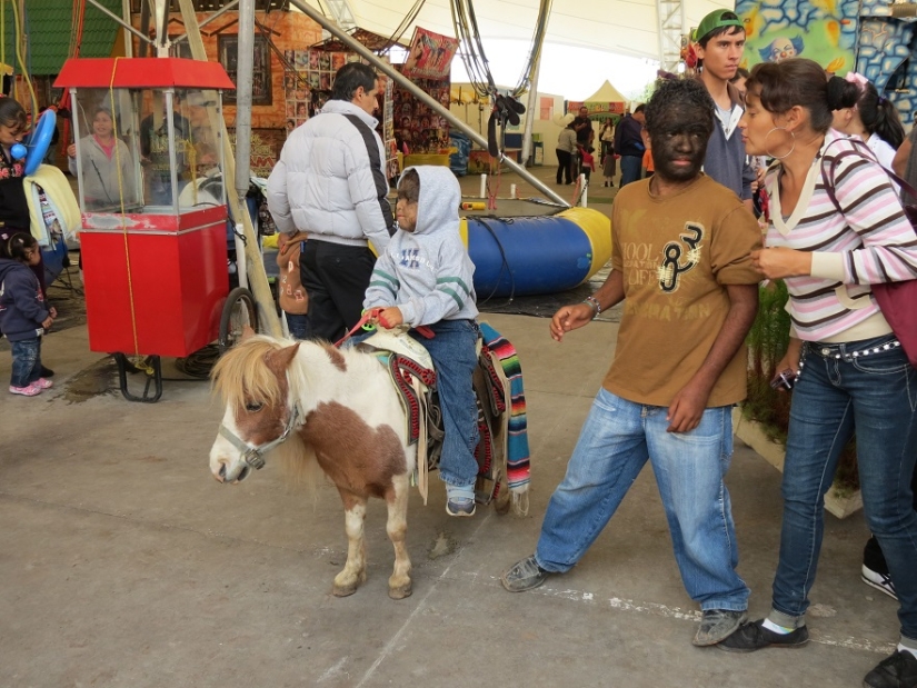 La familia más peluda del mundo. La familia más peluda del mundo.