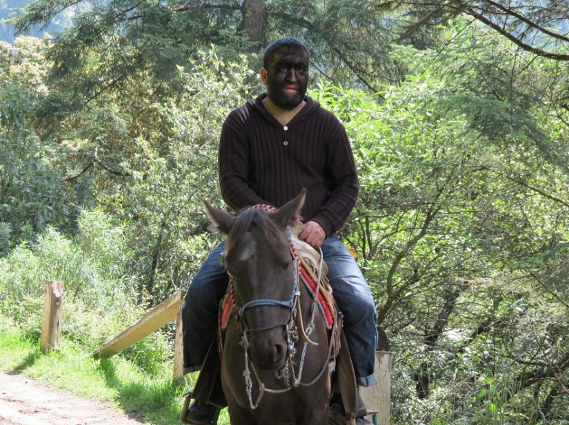 La familia más peluda del mundo. La familia más peluda del mundo.