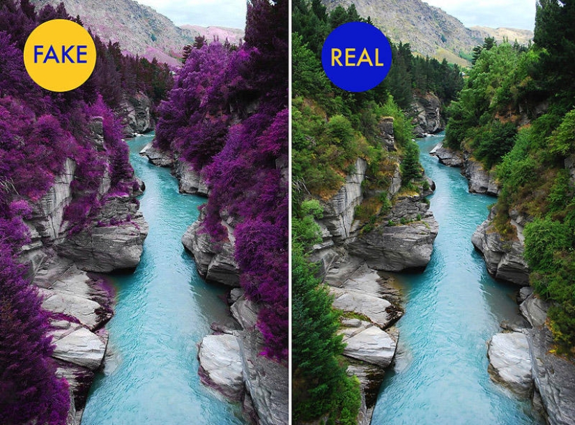 La foto más popular de los "patos" caminando por Internet - Parte 2