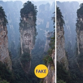 La foto más popular de los "patos" caminando por Internet - Parte 2