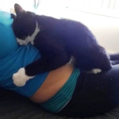 La gata se enamoró del bebé antes de nacer y ahora lo protege