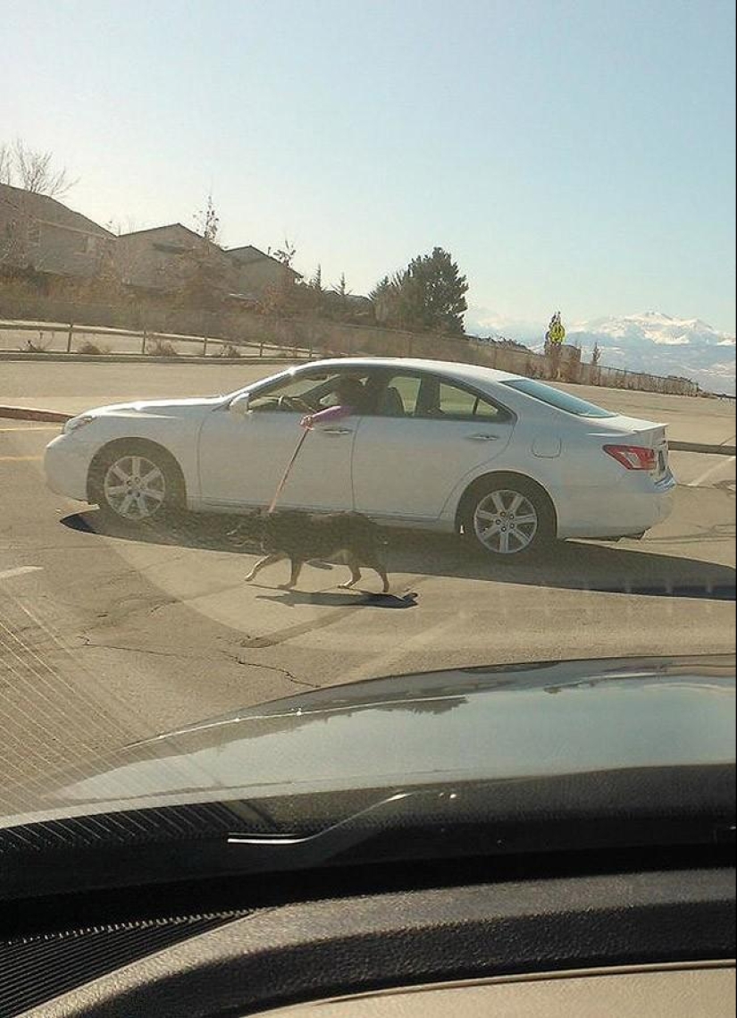 la gente mas perezosa