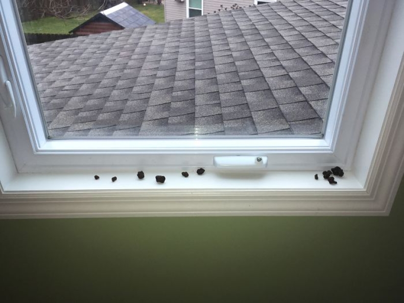 "La gente pregunta constantemente cómo es tener tres hijos. Respondí con fotos" "La gente pregunta constantemente cómo es tener tres hijos. Respondí con fotos"