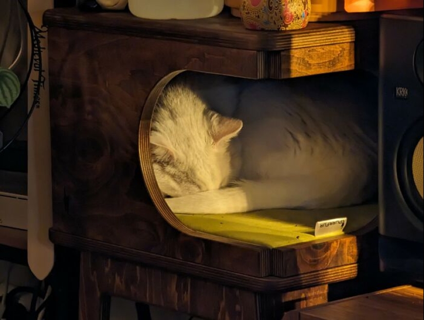 La gente tomó fotografías, solo para darse cuenta de que se trataba de un "renacimiento accidental"