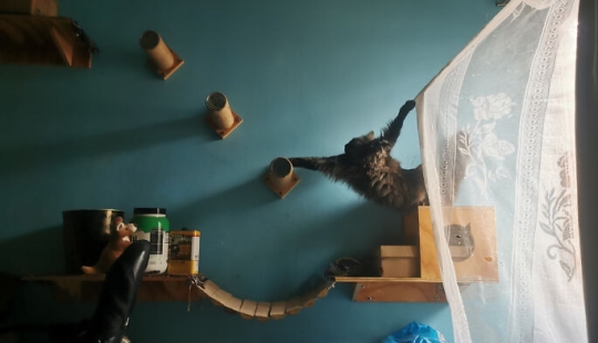 La gente tomó fotografías, solo para darse cuenta de que se trataba de un "renacimiento accidental" La gente tomó fotografías, solo para darse cuenta de que se trataba de un "renacimiento accidental"