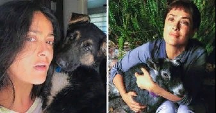 La historia de Salma Hayek, una actriz que salva animales