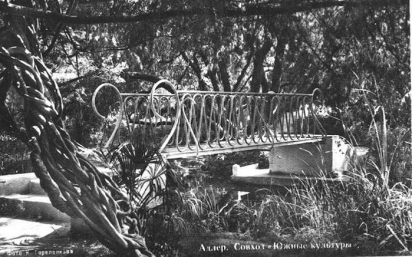 La historia del Parque de las Culturas del Sur en Adler, que sobrevivió a la revolución, la guerra y los Juegos Olímpicos La historia del Parque de las Culturas del Sur en Adler, que sobrevivió a la revolución, la guerra y los Juegos Olímpicos