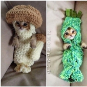 La historia más conmovedora de una gatita con final triste