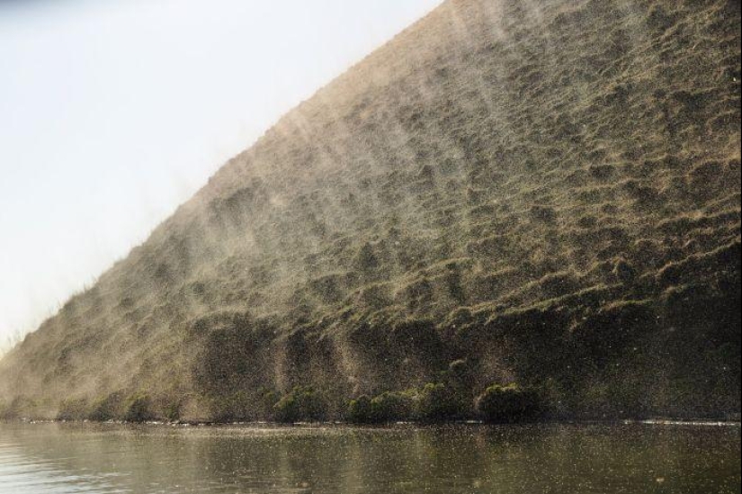 La invasión de mosquitos en Wisconsin