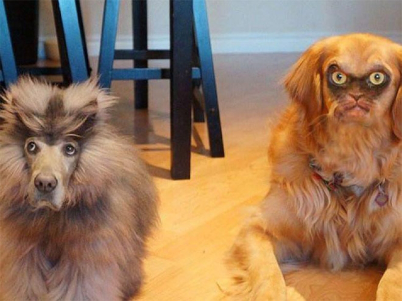 La madre nativa no lo sabrá: cuando el intercambio de caras se convierte en una especie de circo espeluznante