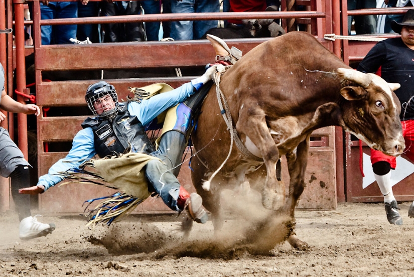 La mayoría de los indios americanos modernos La mayoría de los indios americanos modernos